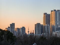 景观位-行者书屋大堂吧 ·下午茶(南京圣和府邸酒店)