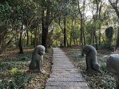 -采石矶景区