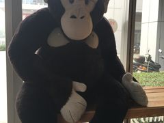 -ZOO COFFEE 动物园咖啡(亦庄店)