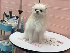 -FAELING PETS美天灵宠物(合生汇店)