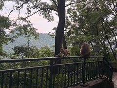 -黔灵山公园-南门售票处