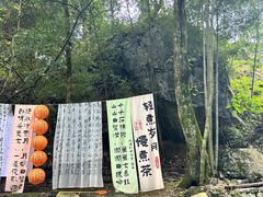 -石台牯牛降景区