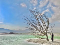 -盐湖景区