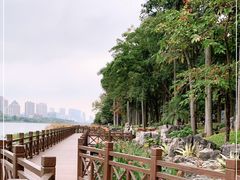 -南宁南湖公园
