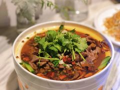 重庆水煮牛肉-百草堂餐厅