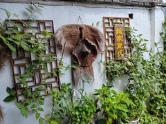 -姚家豆花