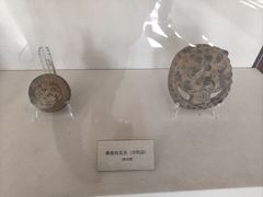 -北京动物园-畅观楼