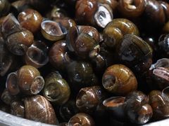 -田螺先生畲江特色田螺煲(建设路总店)