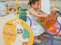 -合肥滨湖国家森林公园