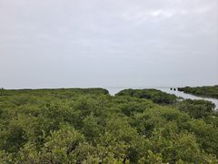 -北海金海湾红树林生态旅游区