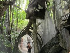 -青青世界