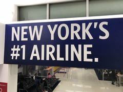 -约翰·菲茨杰拉德·肯尼迪国际机场