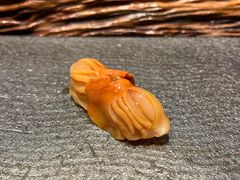 -鮨鳳