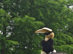 -宁波杭州湾国家湿地公园