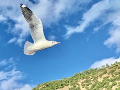 -丽江泸沽湖景区