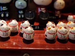 -猫咪博物馆(顶澳仔猫街店)