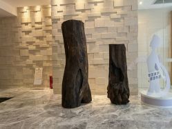 -丽妍雅集 Rubis SPA