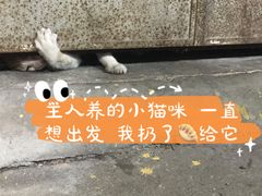 -章记正宗南岗鱼蛋火锅