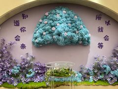 -荷兰花海