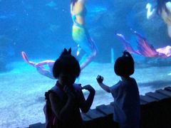 -左海海底世界
