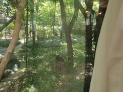 -上海老站(徐家汇店)