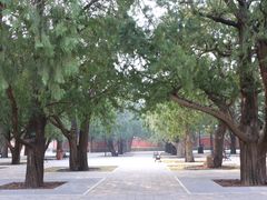 -北京市劳动人民文化宫(太庙)