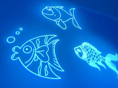 -常州海昌海洋探索馆