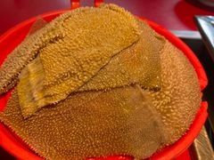-二荆条·蜀鲜汇城市森林火锅