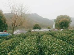 -听风阁农家私房菜茶楼(龙坞店)