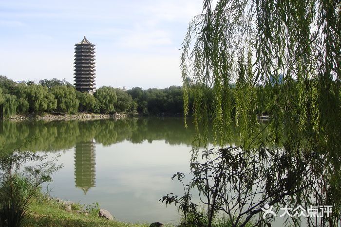 博雅塔图片