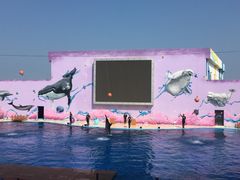 -北戴河圣蓝海洋公园