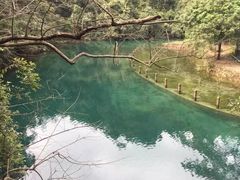 -鼎湖山风景区