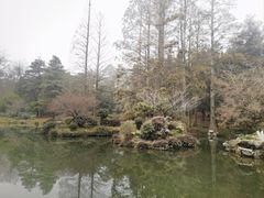 -杭州植物园