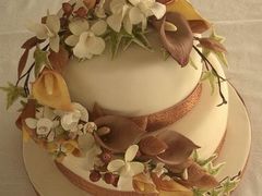 -上海明天广场JW万豪酒店