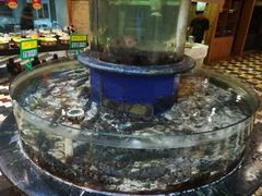 -山东八大碗山东老字号