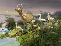 -湖南省地质博物馆