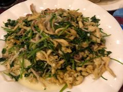 盐爆鸡丝脆肚-大眼锅贴水饺(河东店)