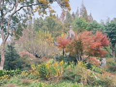 -宁波口腔医院(月湖分院)