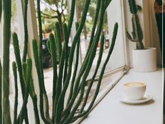 -收获咖啡HARVEST RESERVE(苍山店)