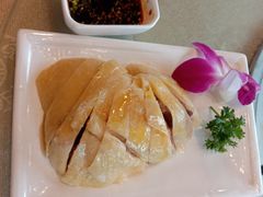白斩鸡-漕溪人家