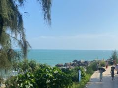 -广东惠东海龟国家级自然保护区