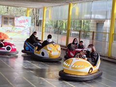 -朝阳公园游乐园