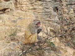 -重庆云阳龙缸景区