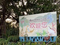 -福田红树林生态公园