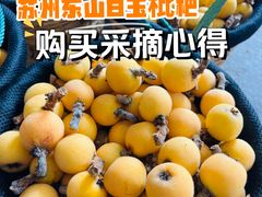 -东山风景区(洞庭东山)