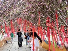 -鹅滋道(甘坑古镇店)