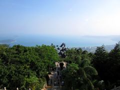 -亚龙湾热带天堂森林公园