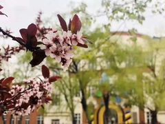 -糖心家族国际幼儿园·托育园(南开水上公园店)