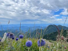 -白草畔自然风景区