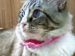 -白兔子密室(长寿路店)